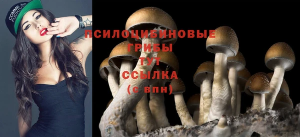 скорость Бугульма