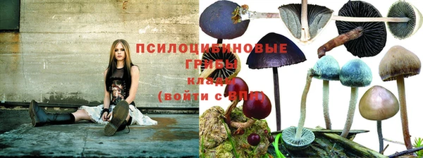 каннабис Бородино