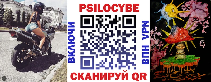 дарнет шоп  Горячий Ключ  Псилоцибиновые грибы Psilocybe 